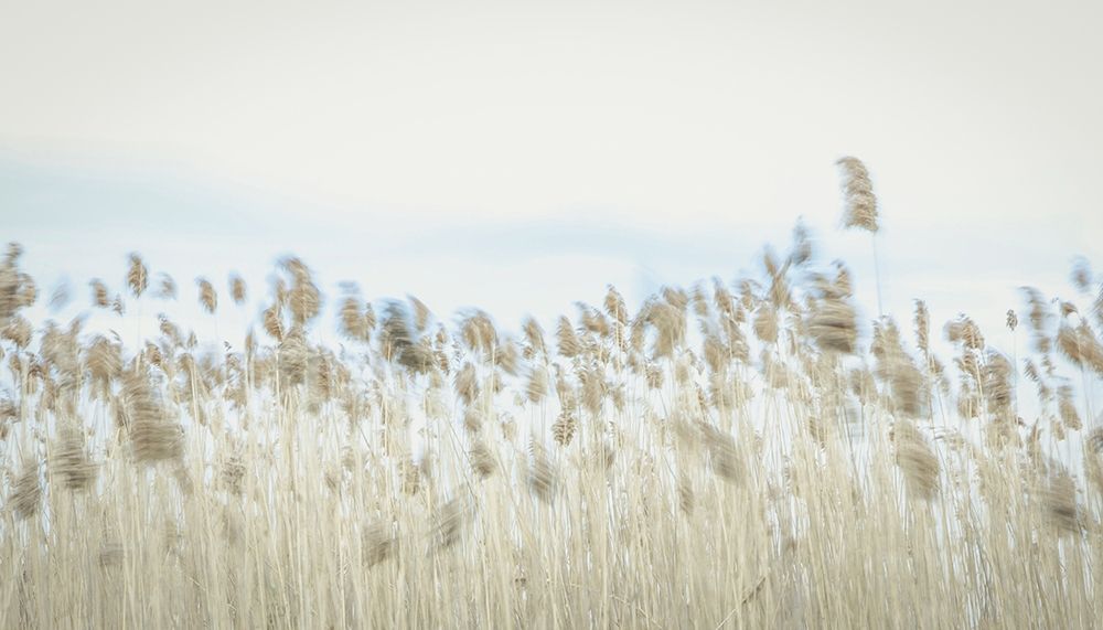Weaving Through Earth and Sky art print by Eunika Rogers for $57.95 CAD