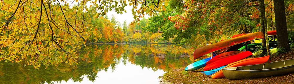 Autumn Fleet art print by Jack Reed for $57.95 CAD