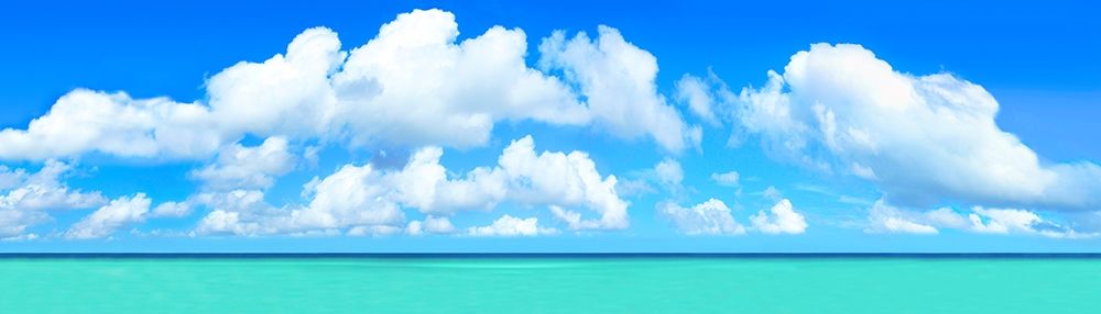 White Aqua art print by Jack Reed for $57.95 CAD