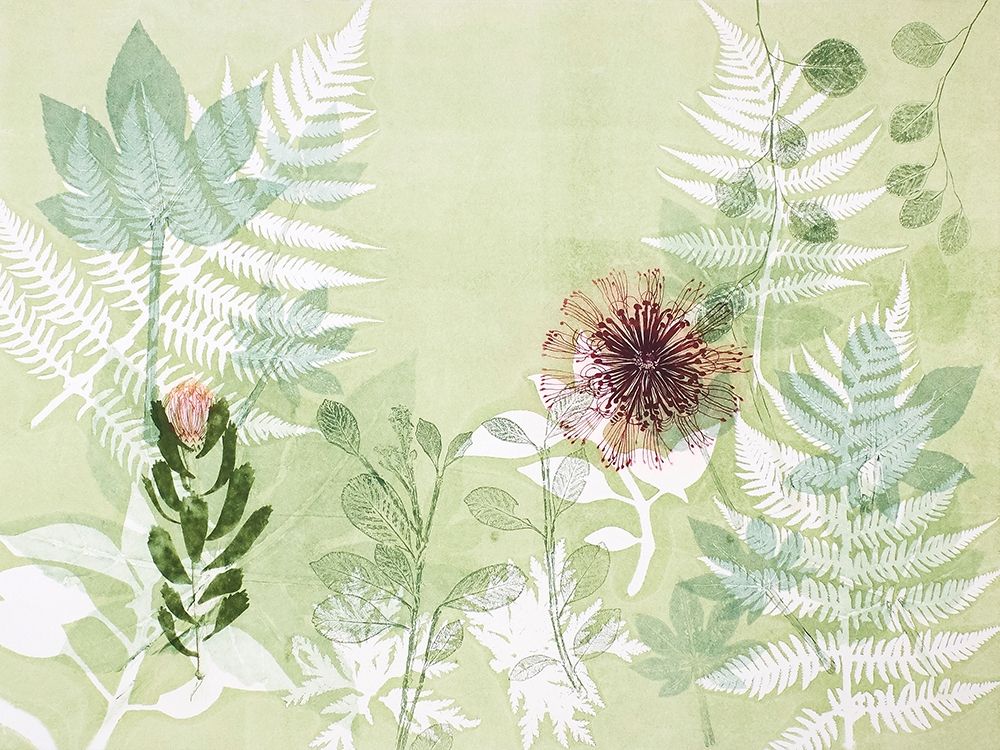 A Myriad Celebration of Plants art print by Trudy Rice for $57.95 CAD