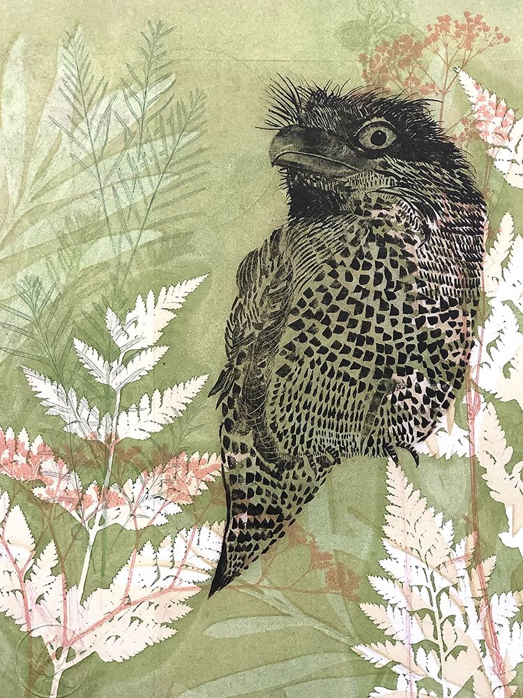 Tawny Frog Mouth art print by Trudy Rice for $57.95 CAD