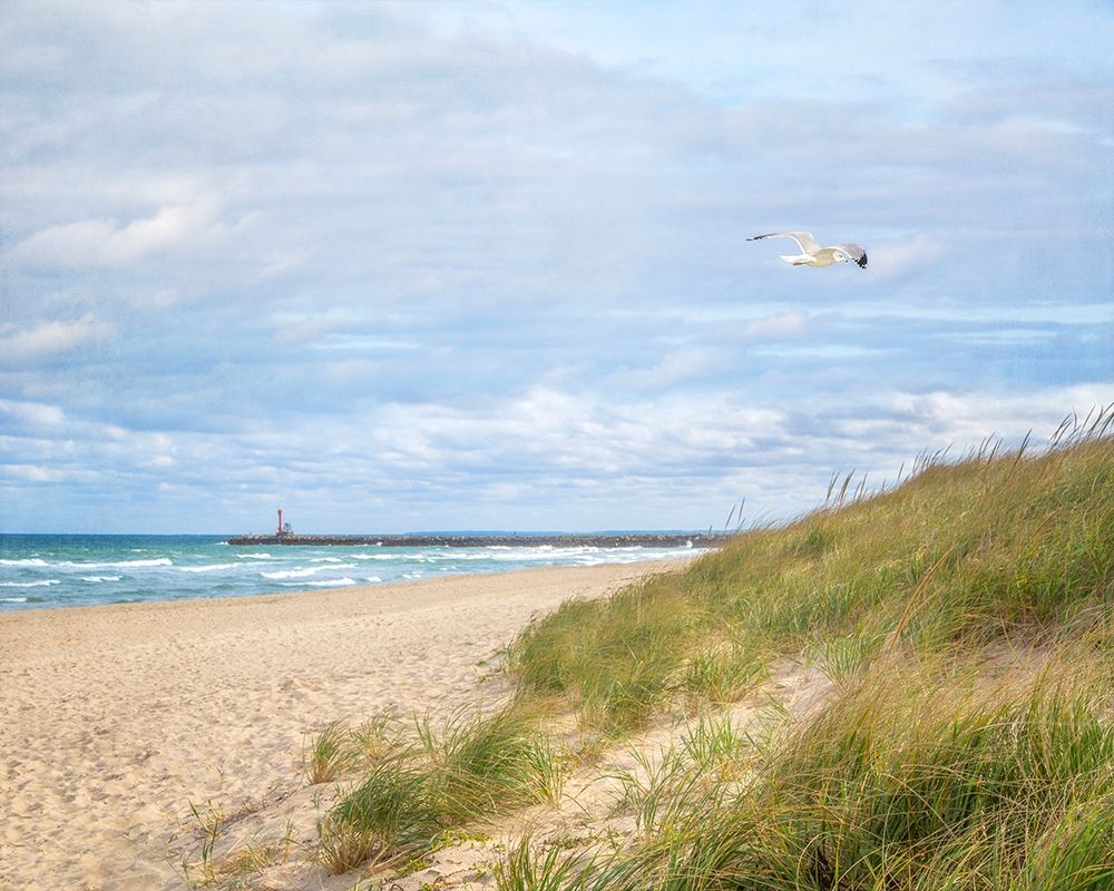 Beach And Jetty art print by Brooke T. Ryan for $57.95 CAD