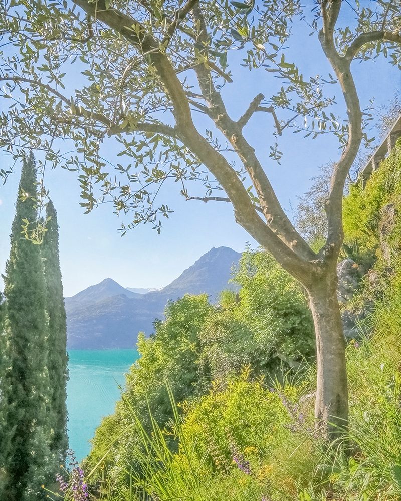 Lago di Como View No. 2 art print by Brooke T. Ryan for $57.95 CAD