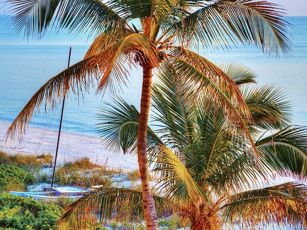 Colors of Florida art print by Jack Reed for $57.95 CAD