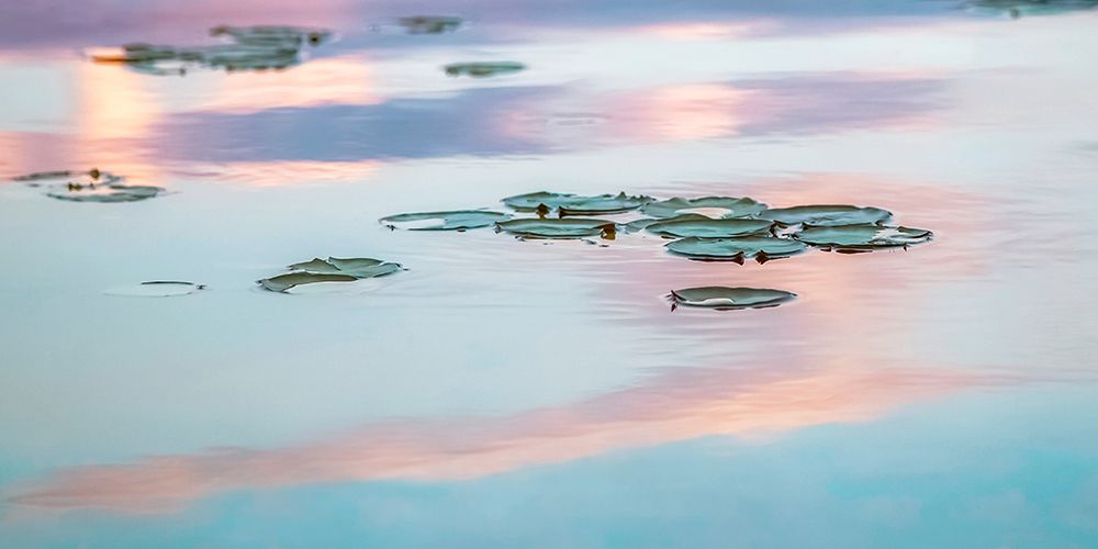 Cloud Reflections art print by Brooke T. Ryan for $57.95 CAD