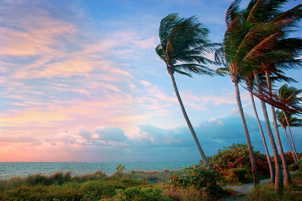 Seabreeze art print by Jack Reed for $57.95 CAD
