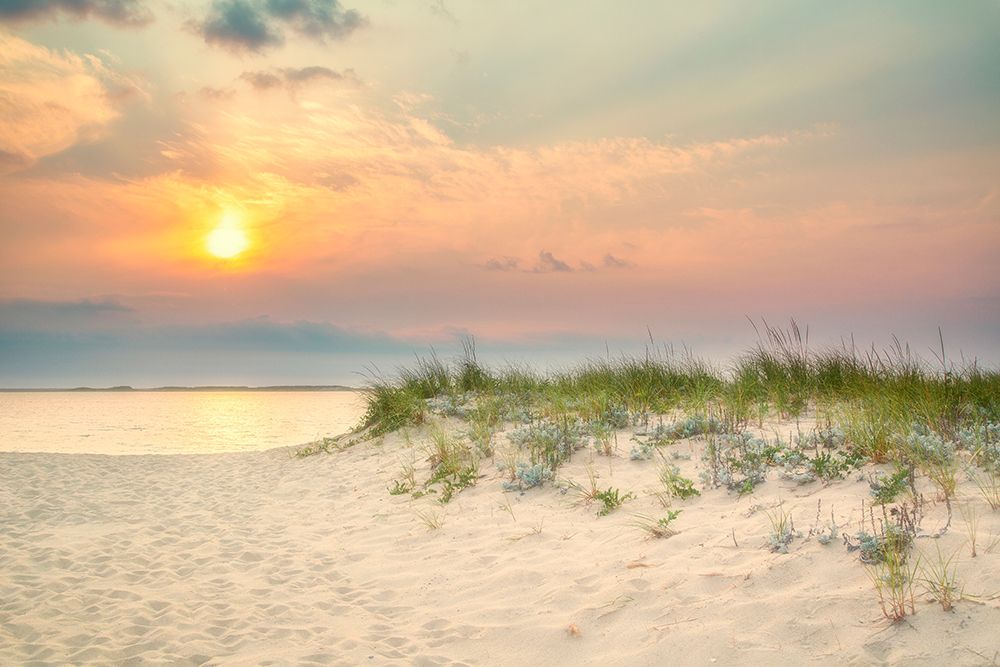 Morning Beach 2 art print by Brooke T. Ryan for $57.95 CAD