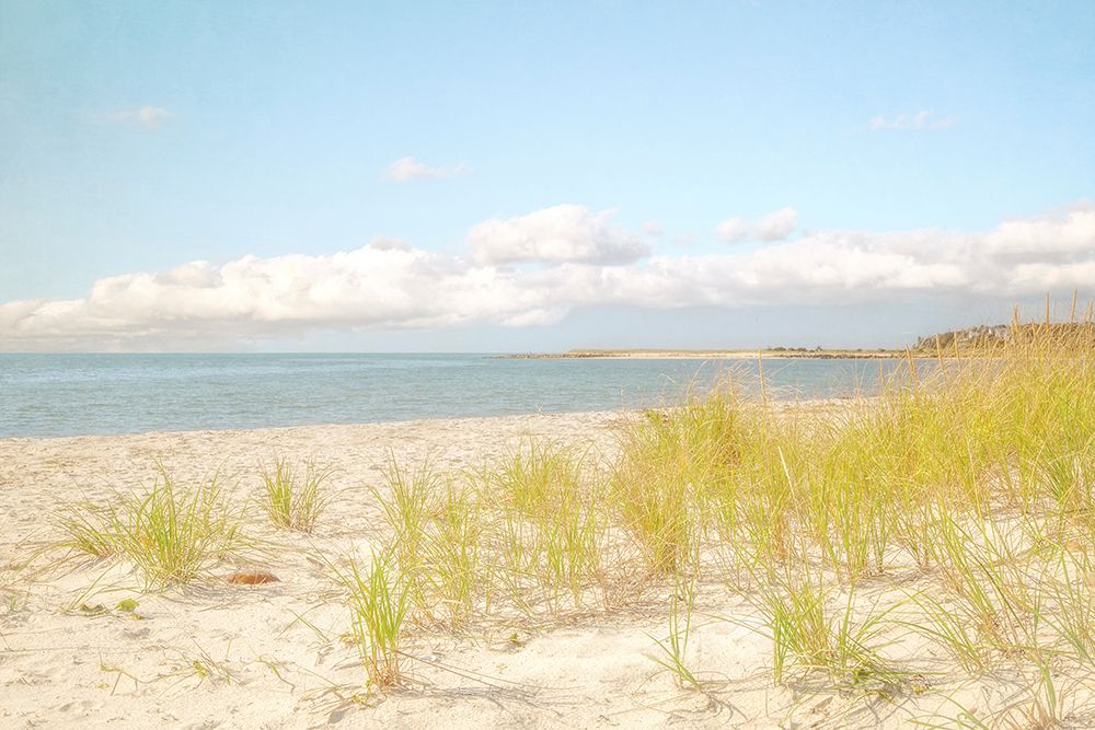 Bright Beach Grass art print by Brooke T. Ryan for $57.95 CAD