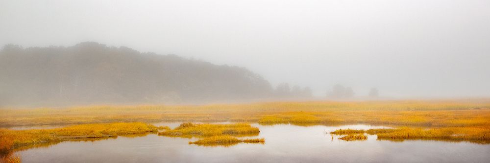 Mustard Yellow Salt Marsh art print by Brooke T. Ryan for $57.95 CAD