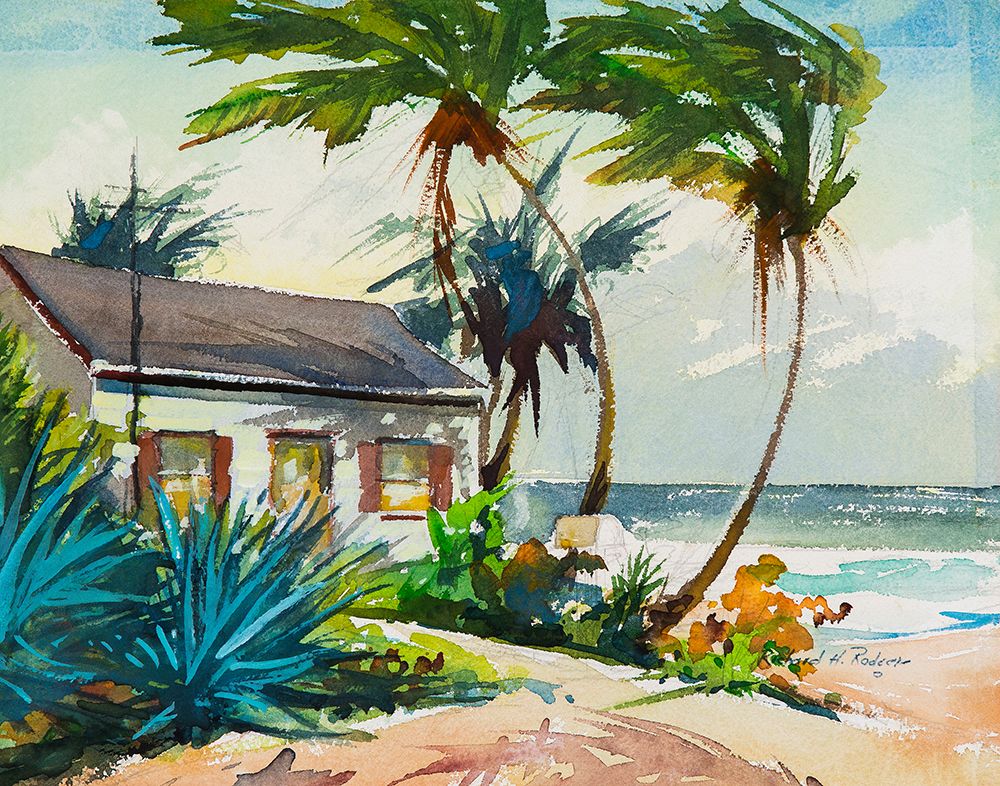 Blue Palms art print by Richard A. Rodgers for $57.95 CAD