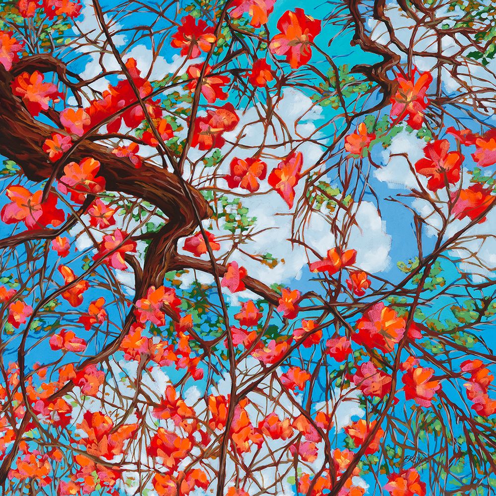 Dogwood art print by Fernando Reyes for $57.95 CAD