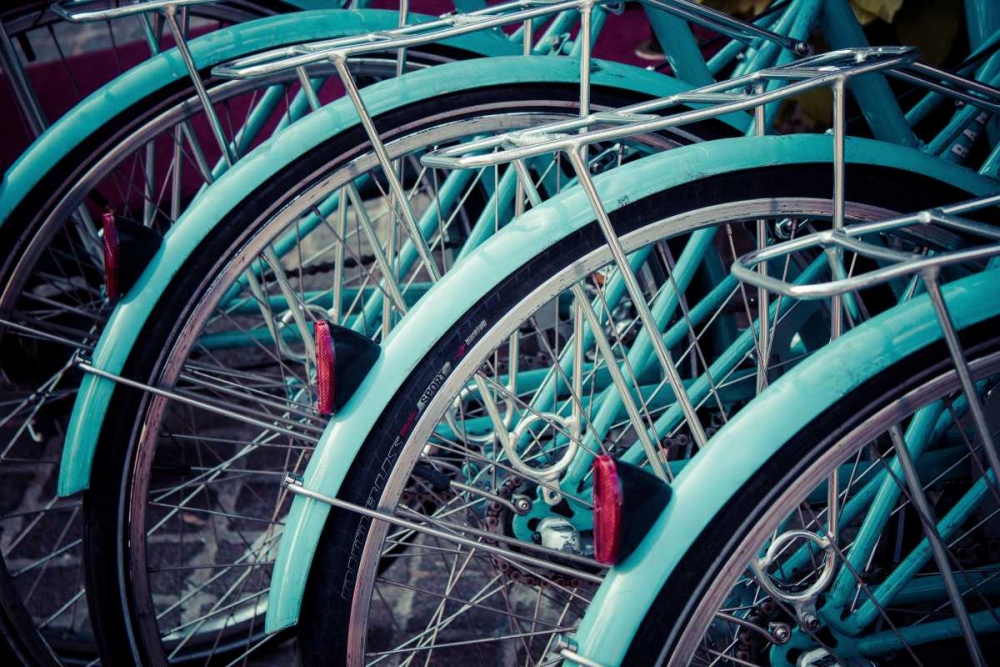 Bicycle Line Up 2 art print by Jessica Reiss for $57.95 CAD