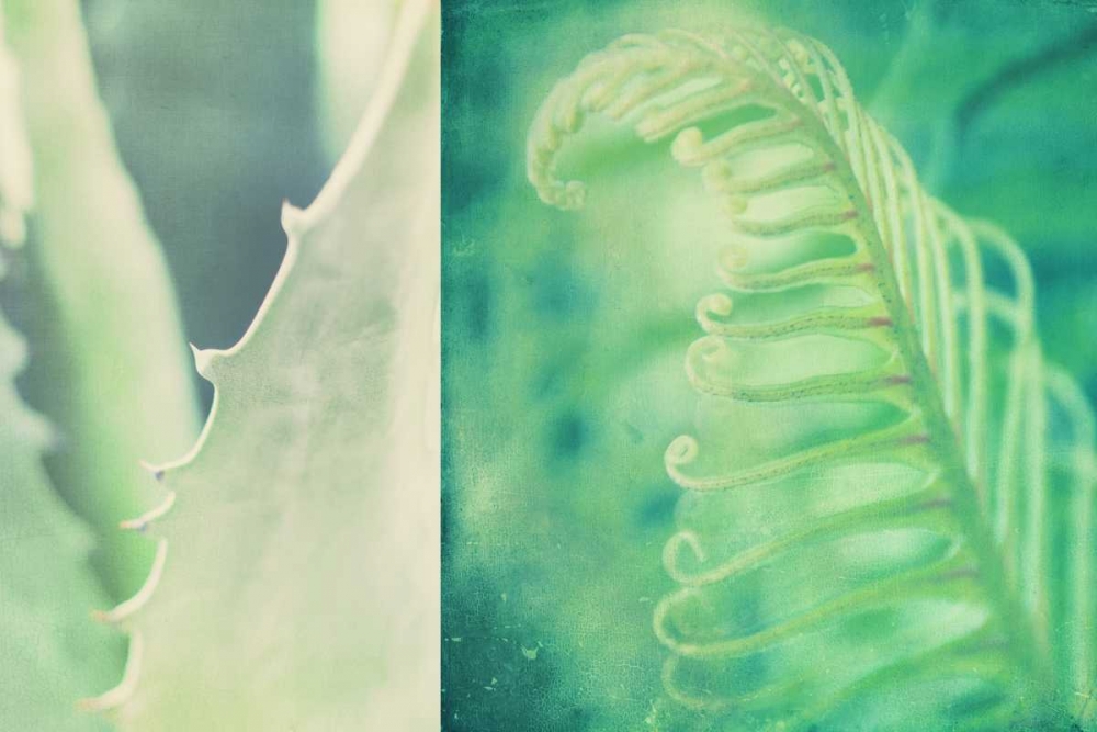 Mint art print by Myan Soffia for $57.95 CAD