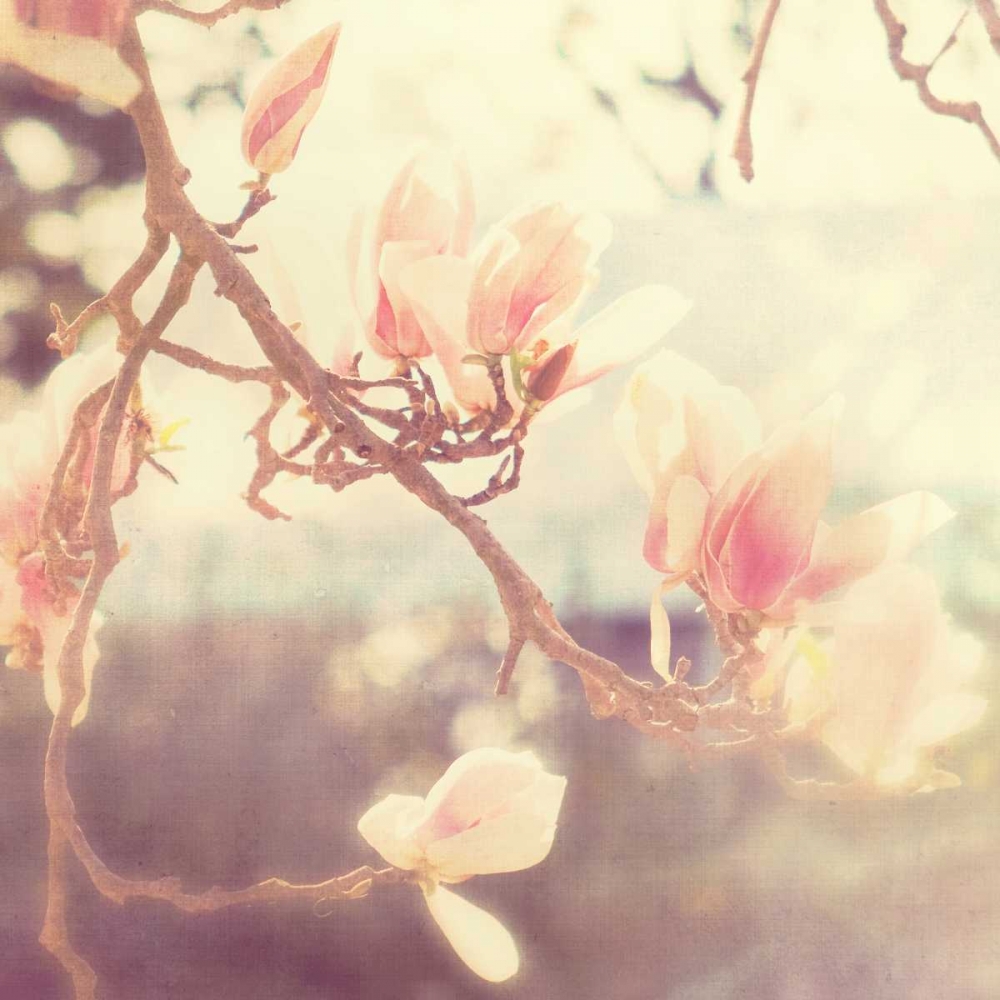 Sunshine Smile art print by Myan Soffia for $57.95 CAD