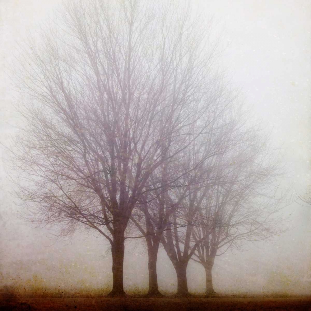Standing Still art print by Irene Suchocki for $57.95 CAD