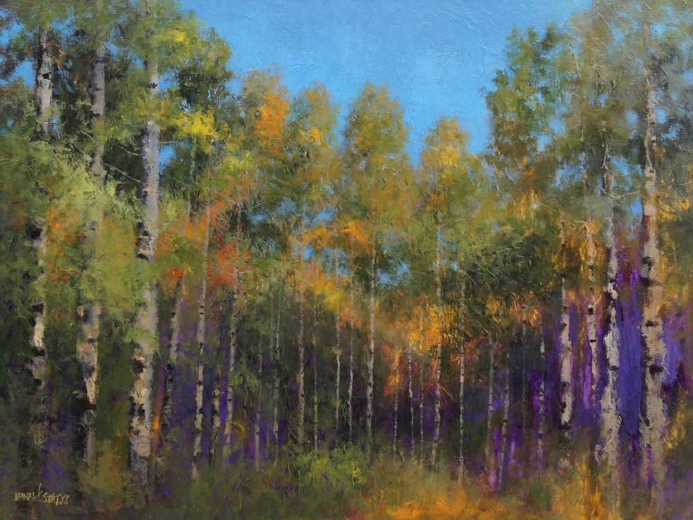 Aspen Autumn art print by Thomas Stotts for $57.95 CAD