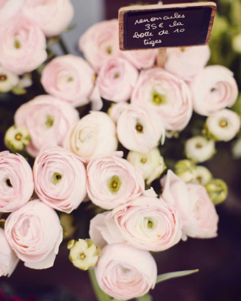 Flower Market art print by Irene Suchocki for $57.95 CAD