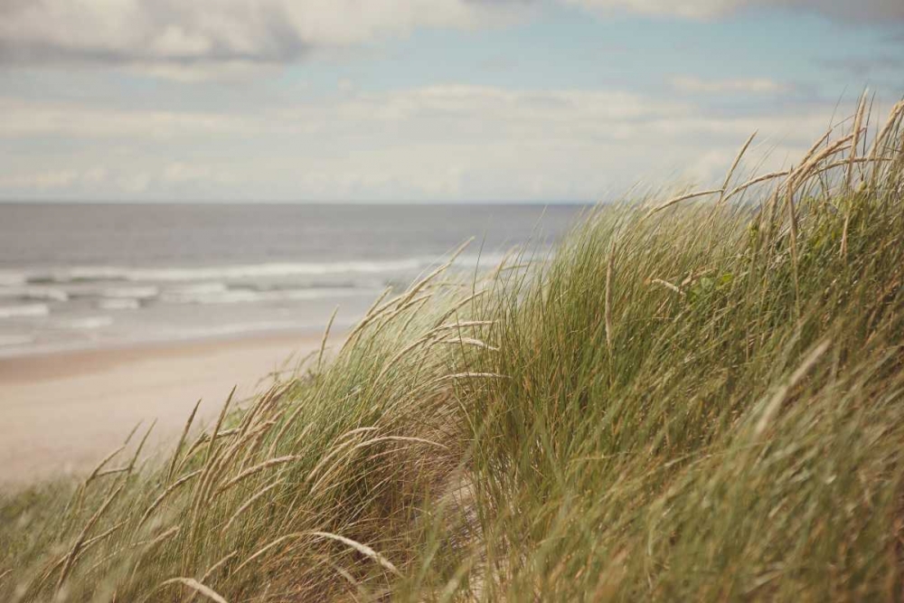 Beach Grass I art print by Irene Suchocki for $57.95 CAD