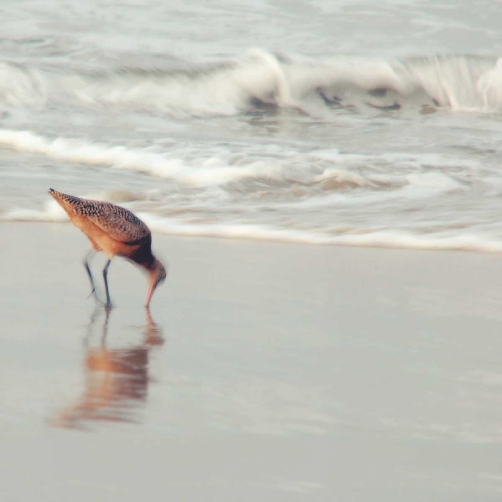 Soft Sea art print by Myan Soffia for $57.95 CAD
