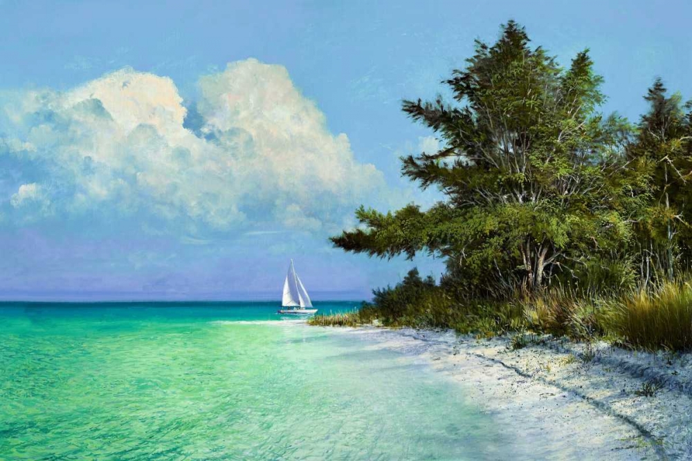 Cayo Costa Beach art print by Kent Sullivan for $57.95 CAD