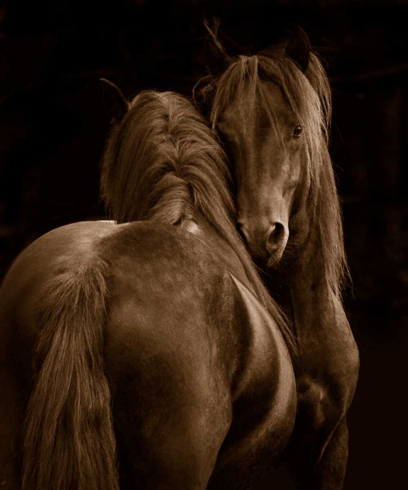 Tenderness I art print by Tony Stromberg for $57.95 CAD