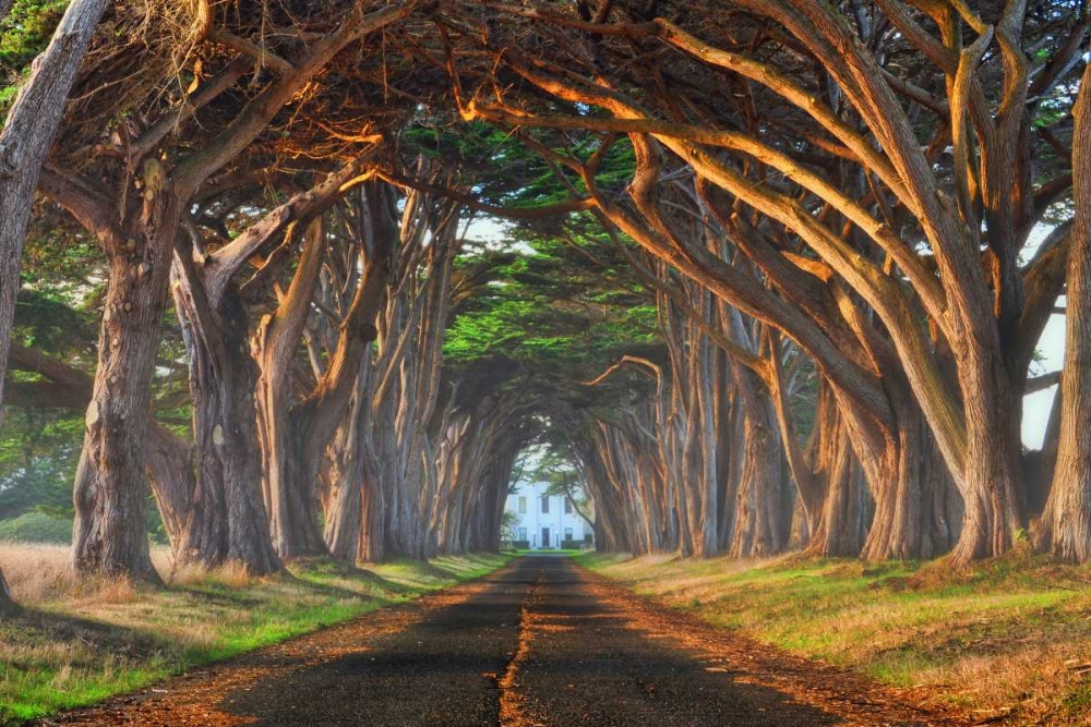 Tunnel of Light art print by Lee Sie for $57.95 CAD