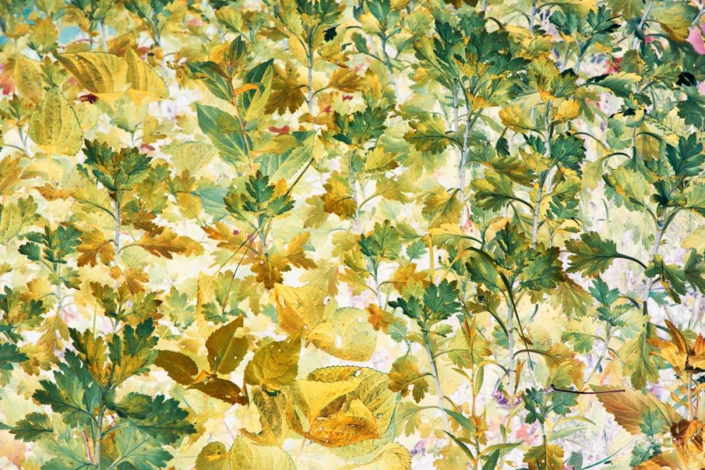 Autumn Tapestry art print by Judy Stalus for $57.95 CAD