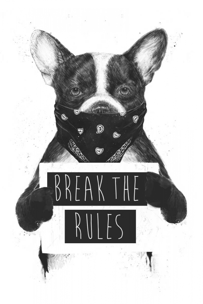 Rebel Dog art print by Balazs Solti for $57.95 CAD