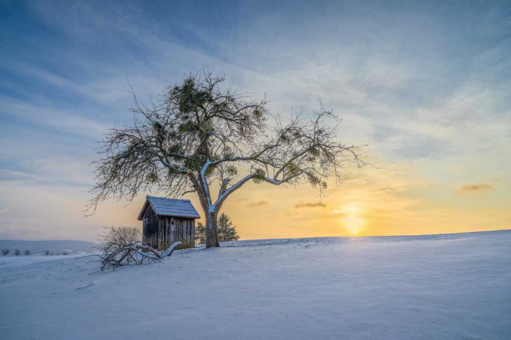 Under The Mistletoe art print by Anne Schneidersmann for $57.95 CAD