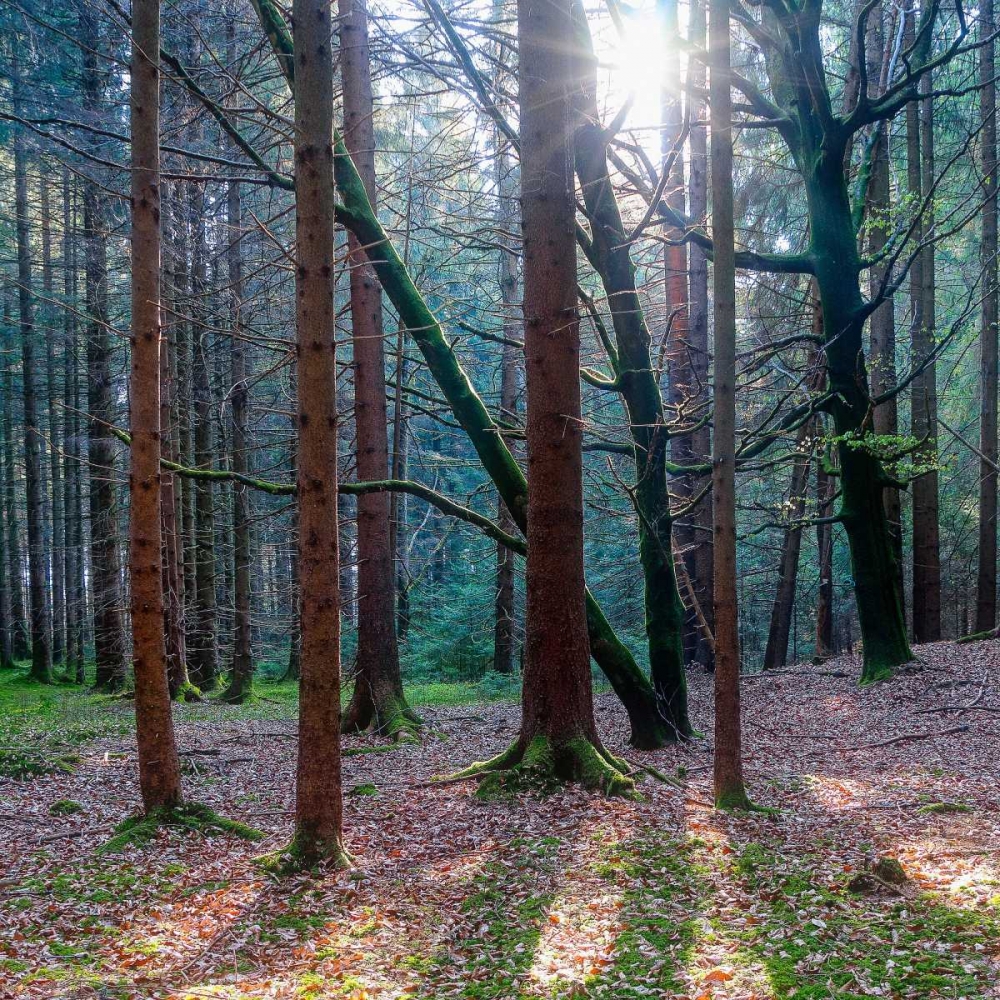 Lean On Me art print by Anne Schneidersmann for $57.95 CAD