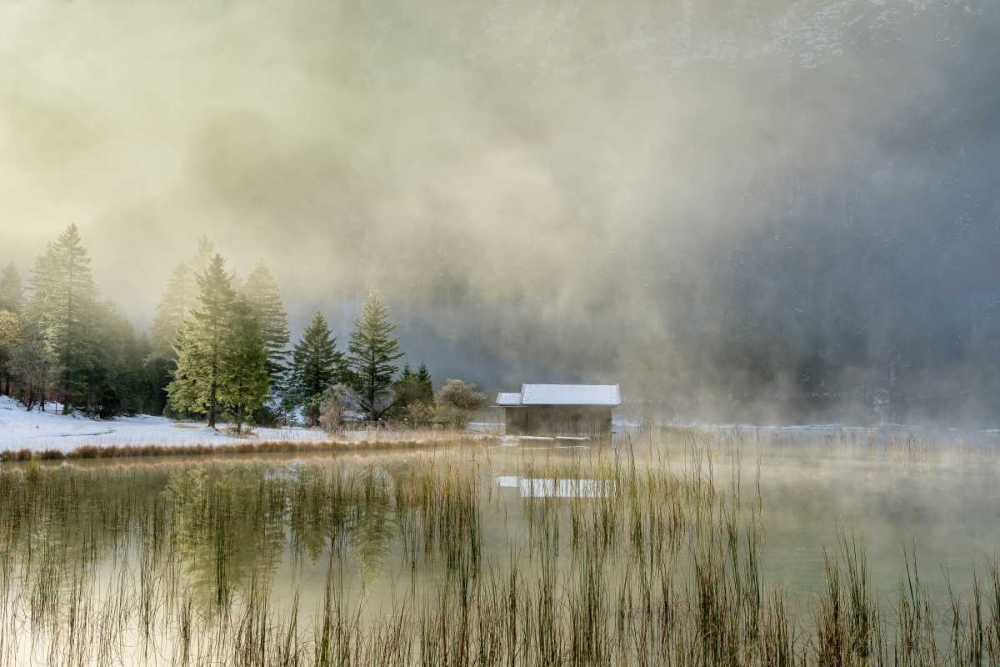 First Touch of Snow art print by Anne Schneidersmann for $57.95 CAD