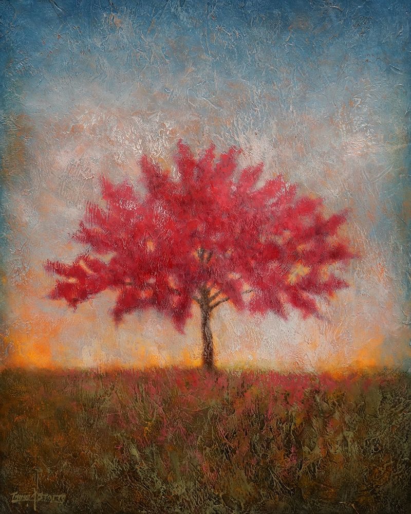 Red Bud No. 1 art print by Thomas Stotts for $57.95 CAD