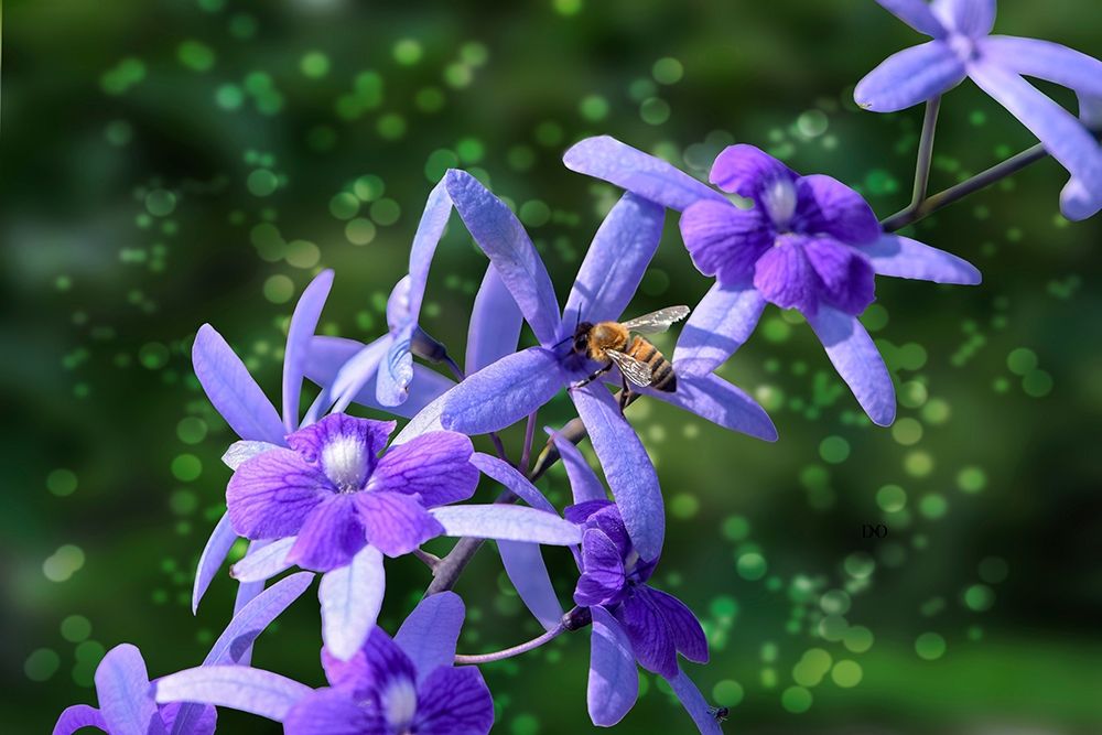 Bee and Purple Flowers art print by Don Spears for $57.95 CAD
