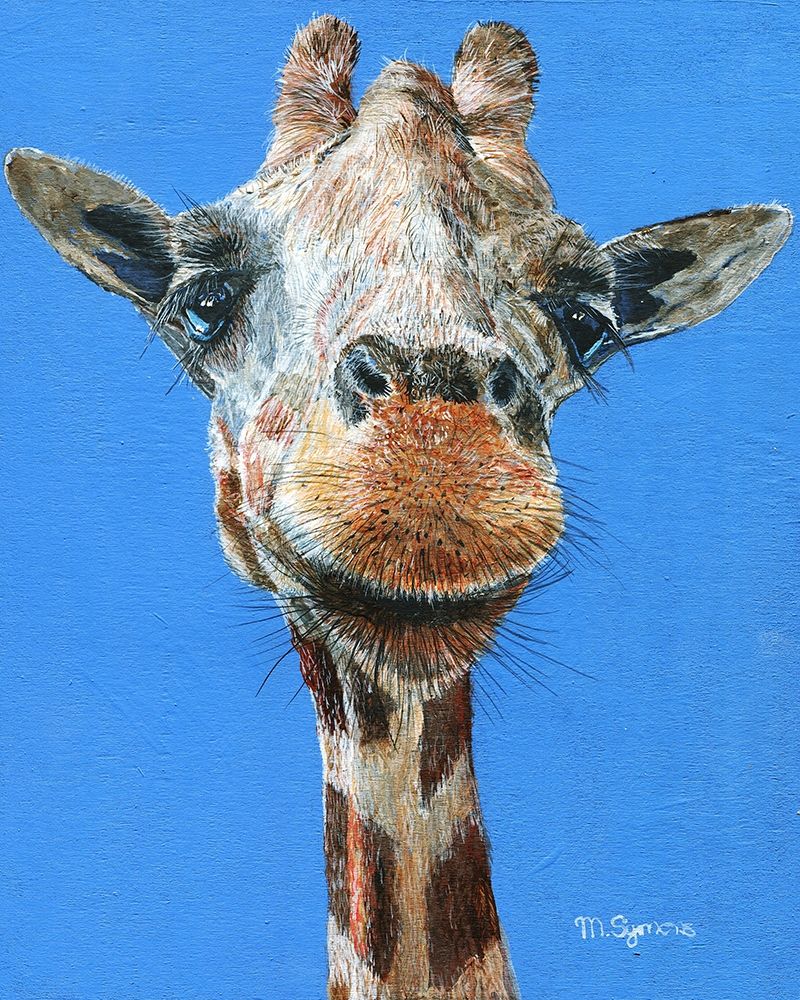 Norman art print by Melissa Symons for $57.95 CAD