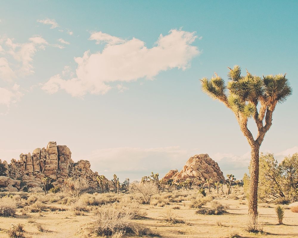 Winter in the Desert No. 3 art print by Myan Soffia for $57.95 CAD