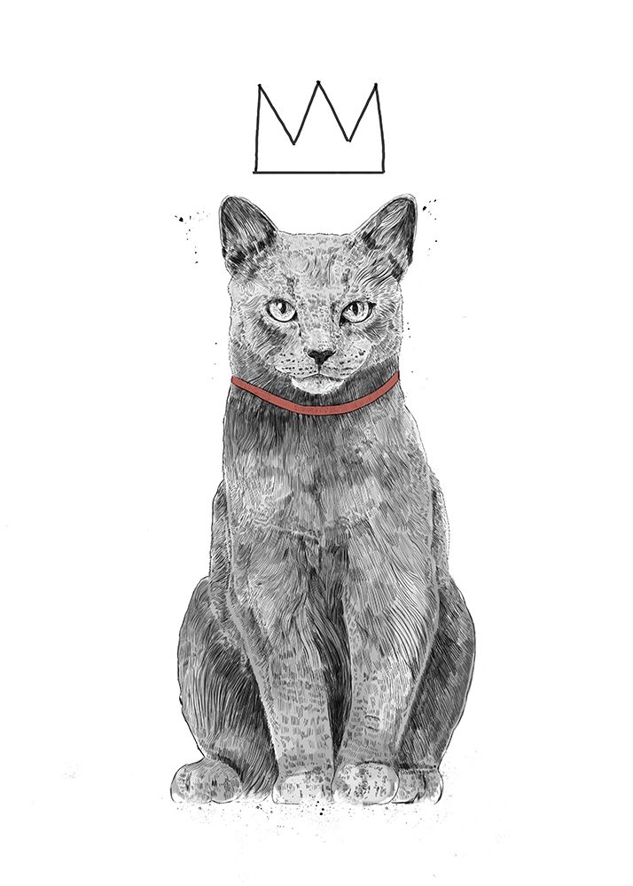 King of Everything art print by Balazs Solti for $57.95 CAD