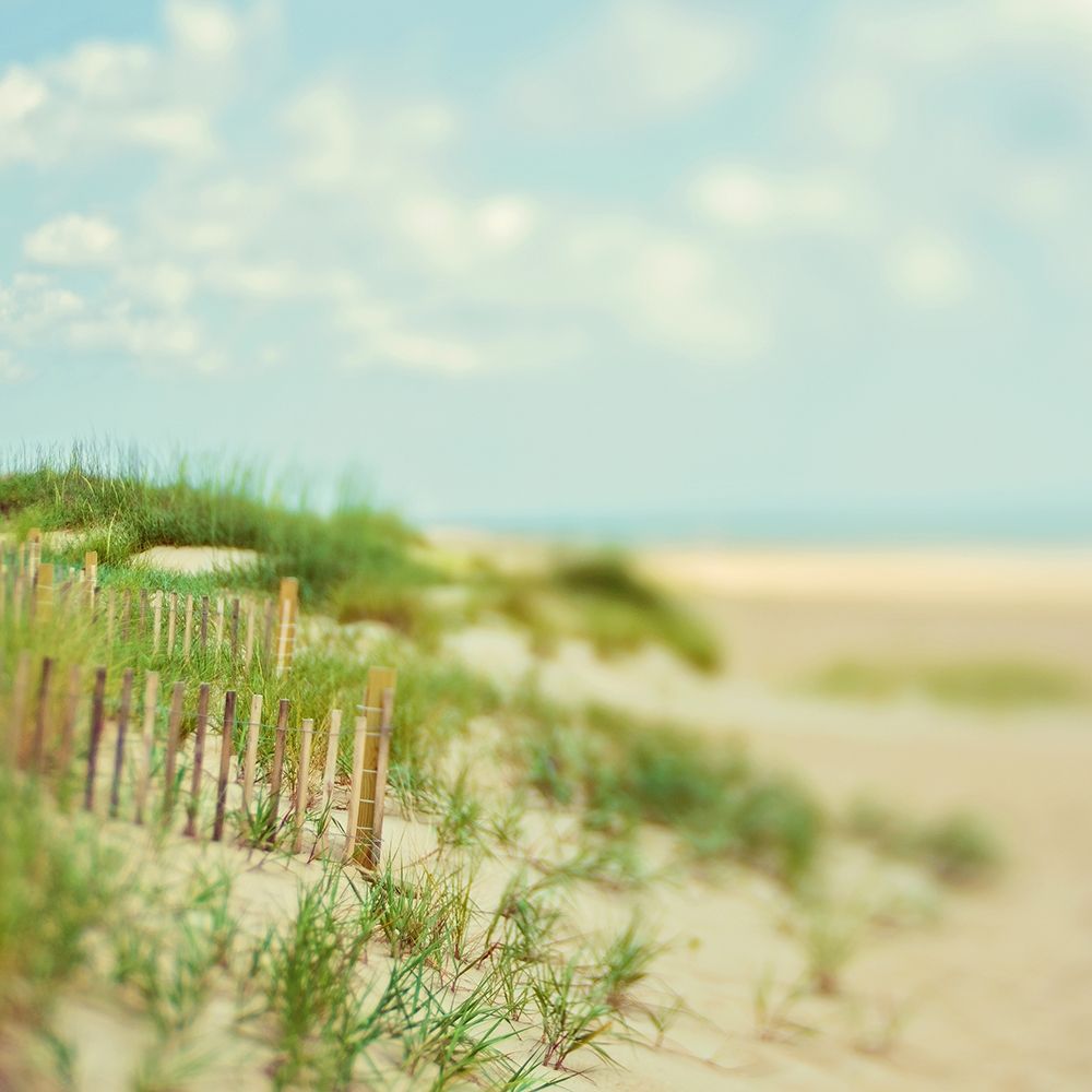 Sand Dunes art print by Myan Soffia for $57.95 CAD