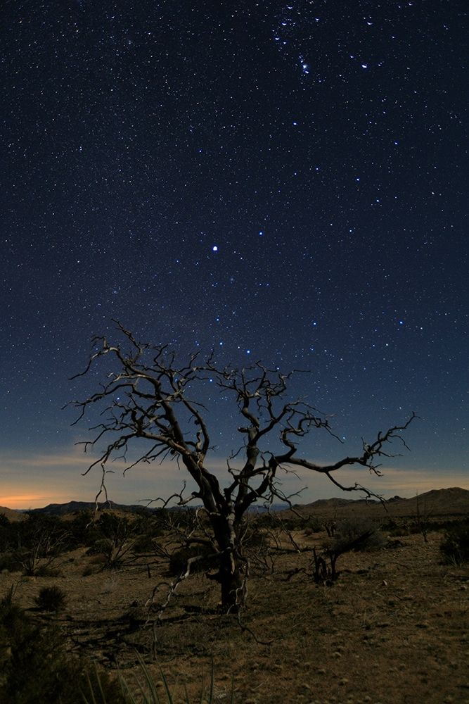 Mohave at Night No. 1 art print by Shawn/Corinne Severn for $57.95 CAD