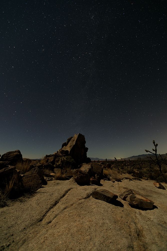 Mohave at Night No. 2 art print by Shawn/Corinne Severn for $57.95 CAD