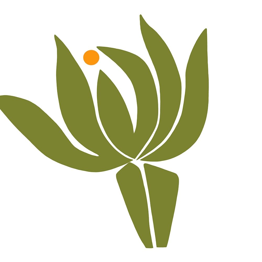 Protea art print by Trish Sierer for $57.95 CAD