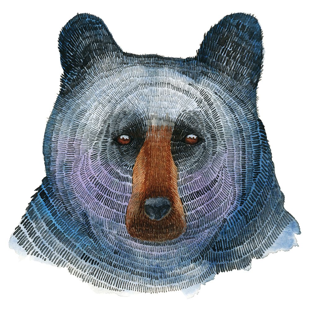 Black Bear art print by Jeannine Saylor for $57.95 CAD