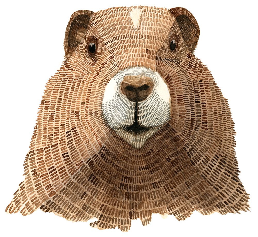 Marmot art print by Jeannine Saylor for $57.95 CAD