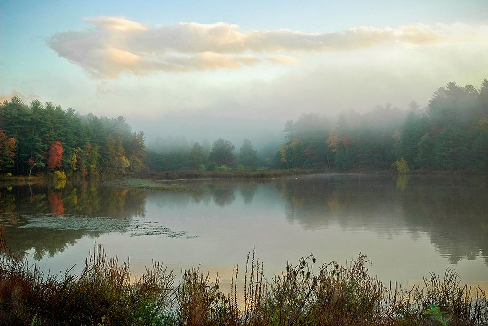 Kingston Reservoir art print by Kelly Sinclair for $57.95 CAD