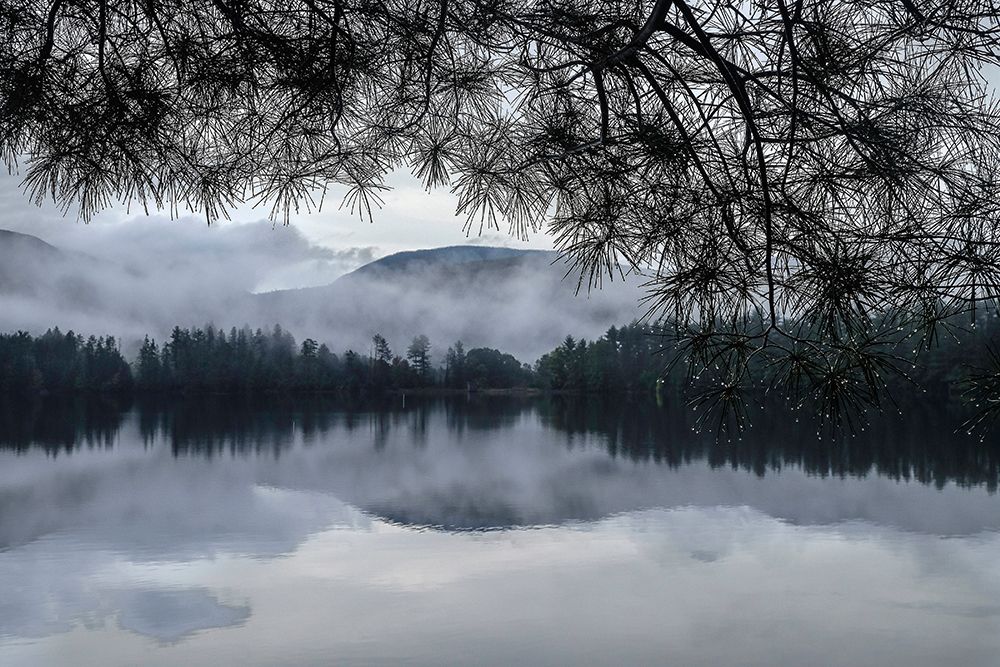Rainy Day Cooper Lake art print by Kelly Sinclair for $57.95 CAD