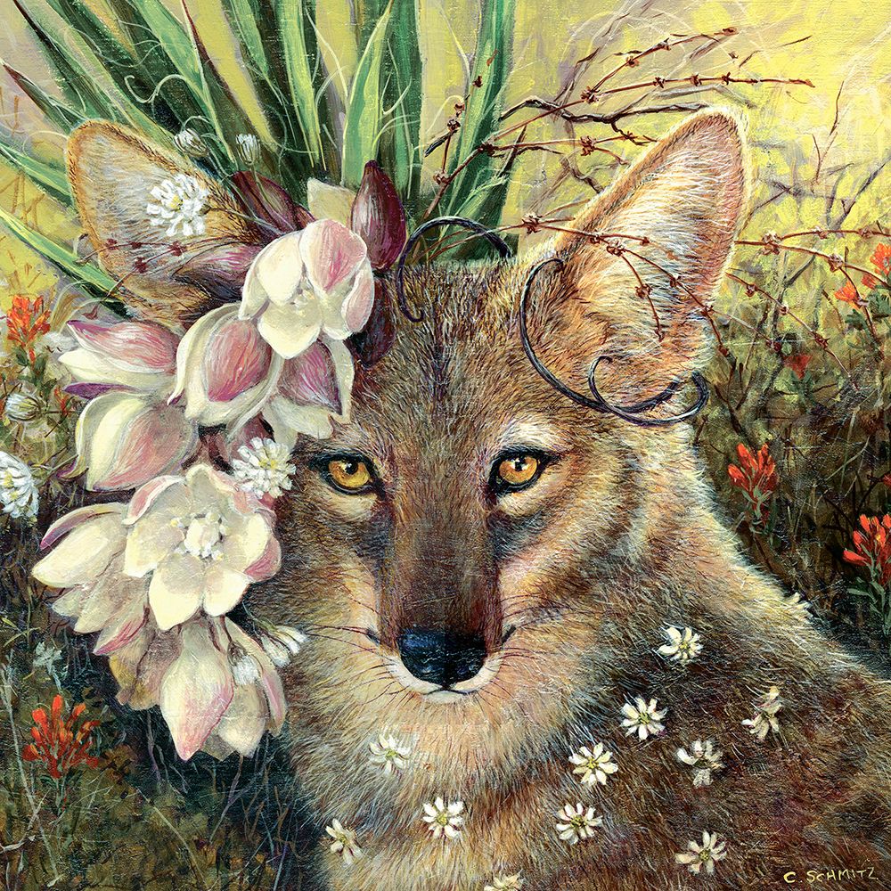 Death Valley Beauty art print by Carolyn Schmitz for $57.95 CAD