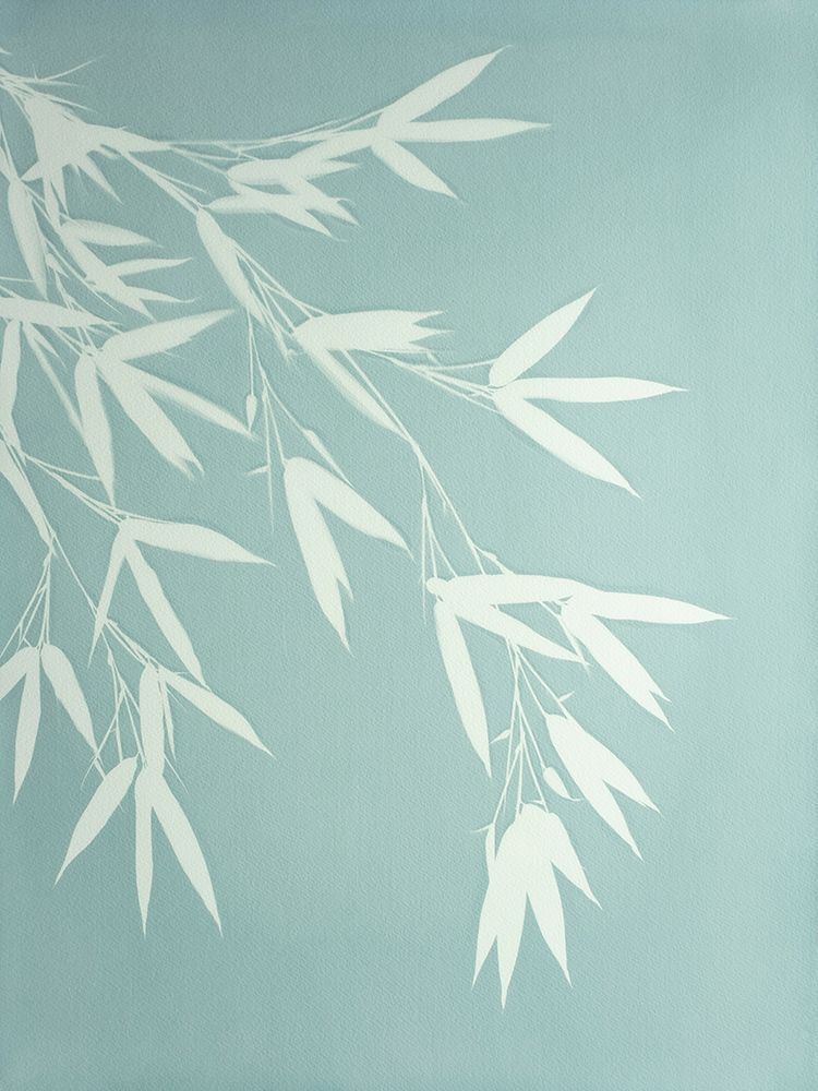 Celadon Bamboo art print by Christine So for $57.95 CAD