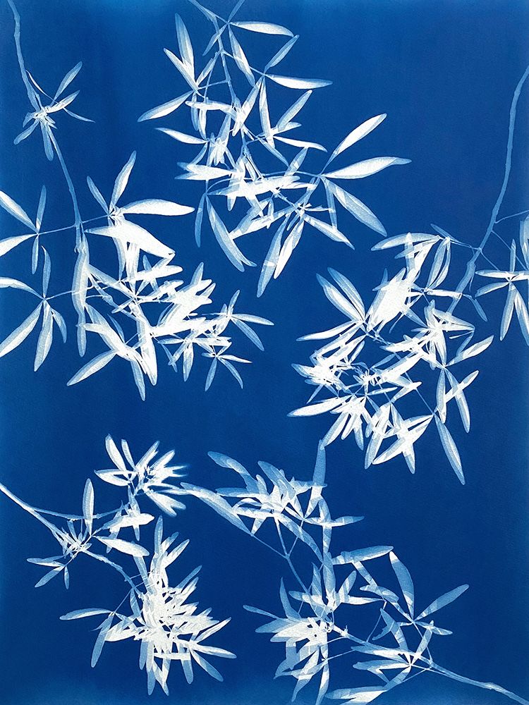 Light through Leaves 1 art print by Christine So for $57.95 CAD