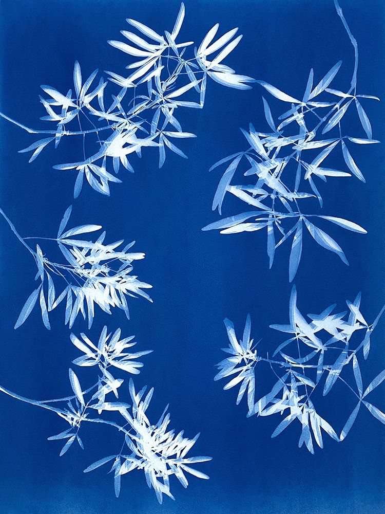 Light through Leaves 2 art print by Christine So for $57.95 CAD