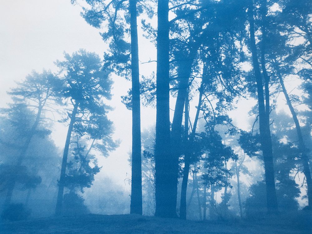 Morning Valley Light art print by Christine So for $57.95 CAD