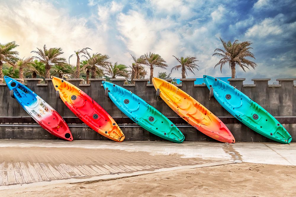 Surf Boards and Palm Trees art print by Richard Silver for $57.95 CAD